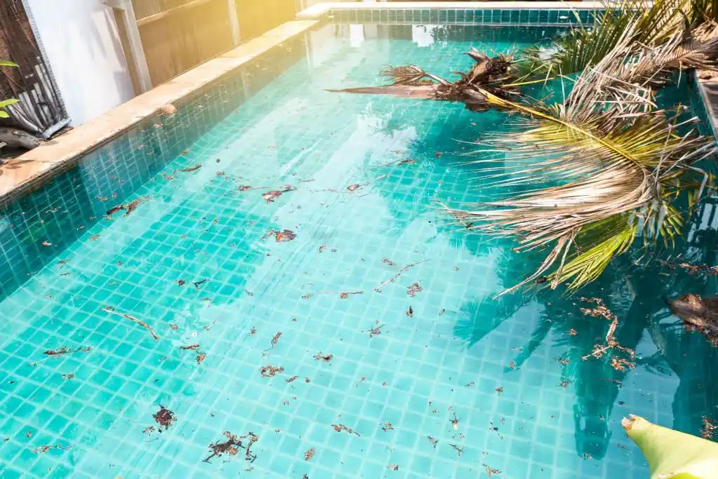 Pool-Removal-Service-In-Sydney